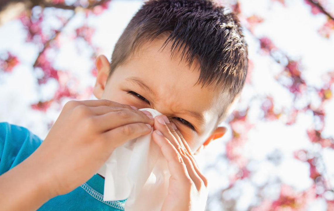 Comprehensive Guide to Mold Allergy Symptoms and Prevention