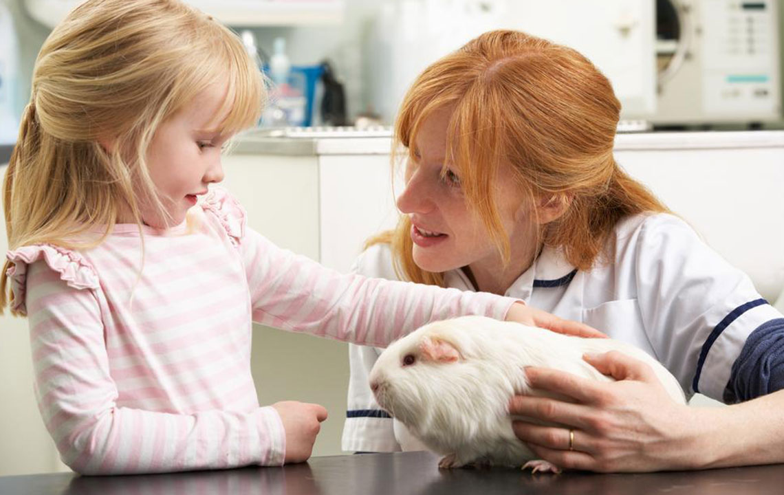 Best Pet Insurance Plans for Your Furry Friends