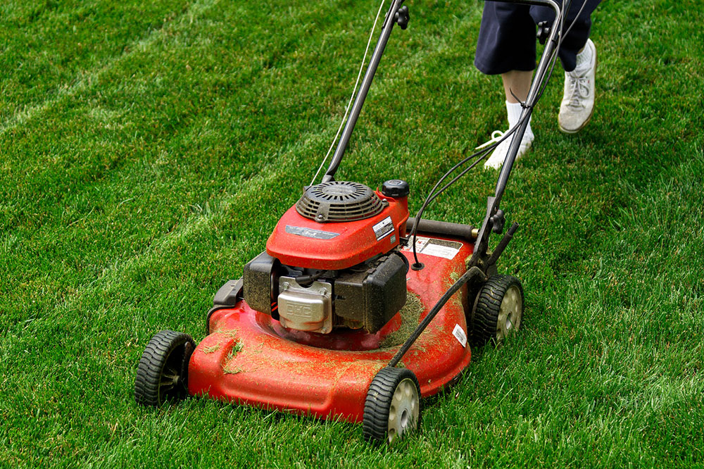 Top Cyber Monday Lawn Mower Deals You Can't Miss