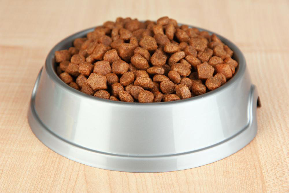 Top 5 Delicious and Healthy Weight Management Foods for Your Overweight Dog