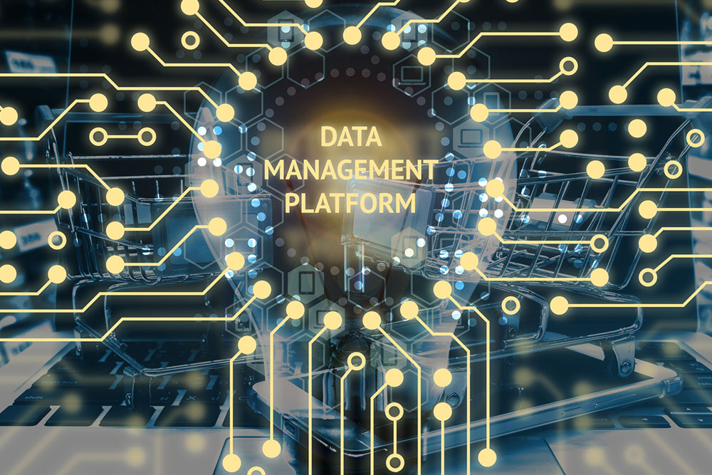 Essential Guide to Identity and Access Management (IAM) Solutions