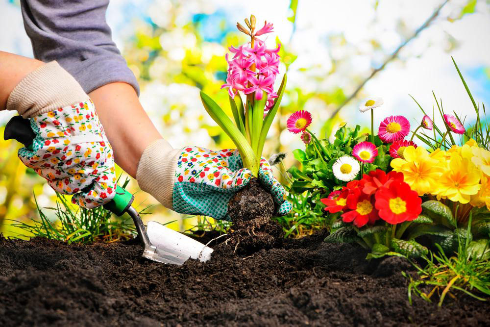 Transform Your Garden with Trusted Tools from Harbor Freight