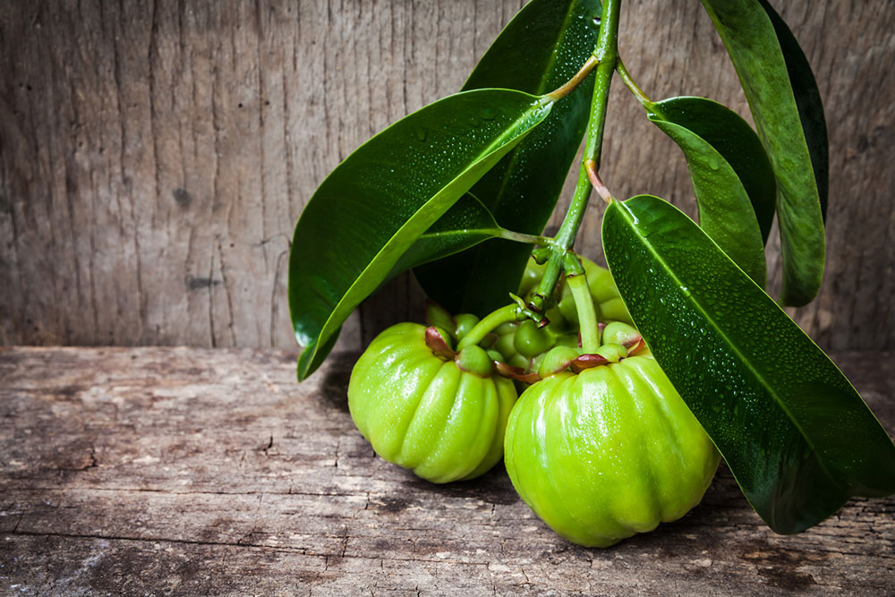 Potential Risks and Side Effects of Garcinia Cambogia Explained