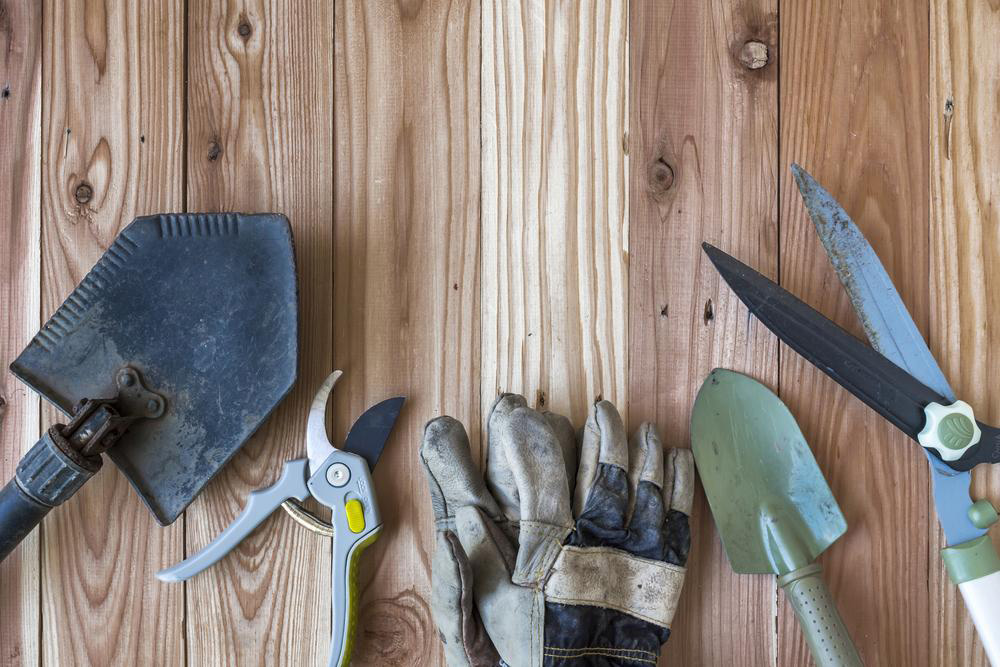 Harbor Freight: Your Go-To Source for Reliable Gardening Tools