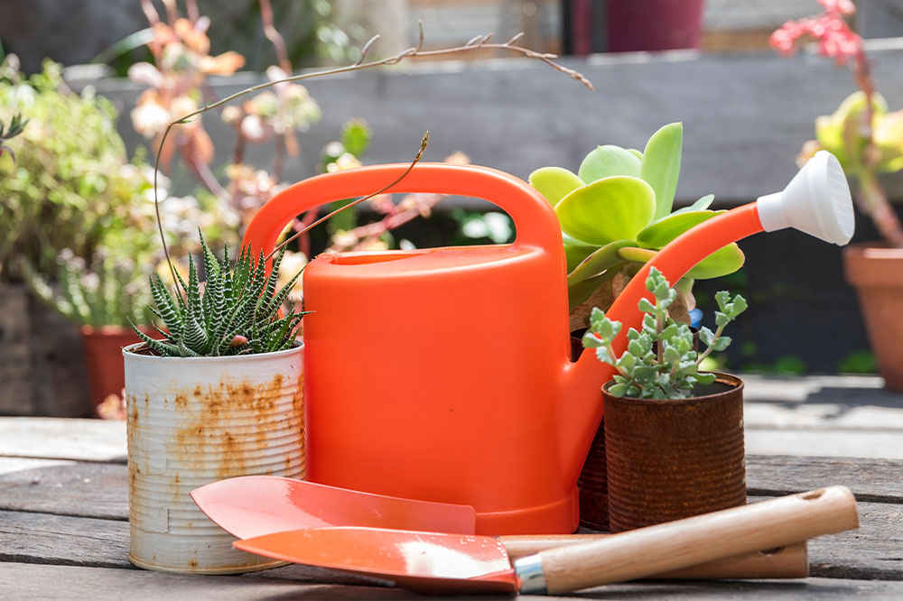 Amazing Cyber Monday Deals on Outdoor Patio and Garden Essentials for Your Home