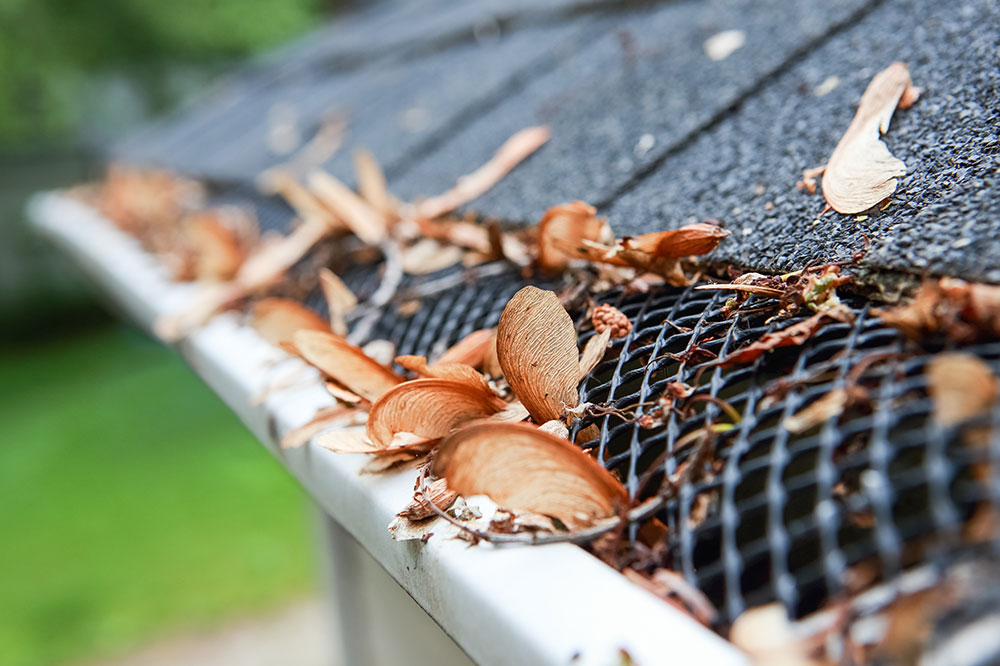Essential Types of Gutter Guards to Protect Your Home
