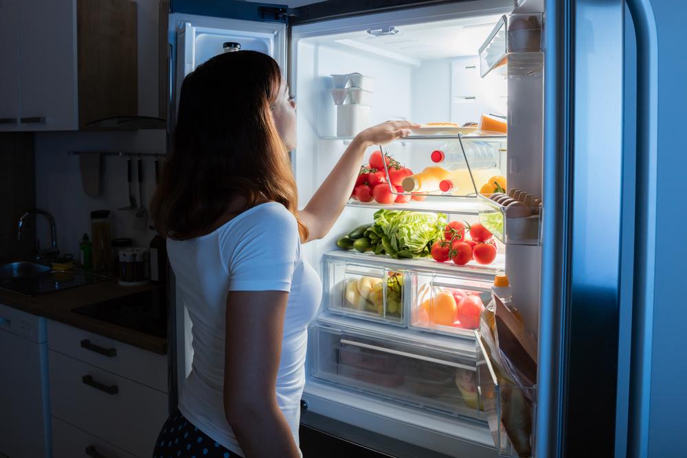 Essential Guide to Refrigerator Fundamentals