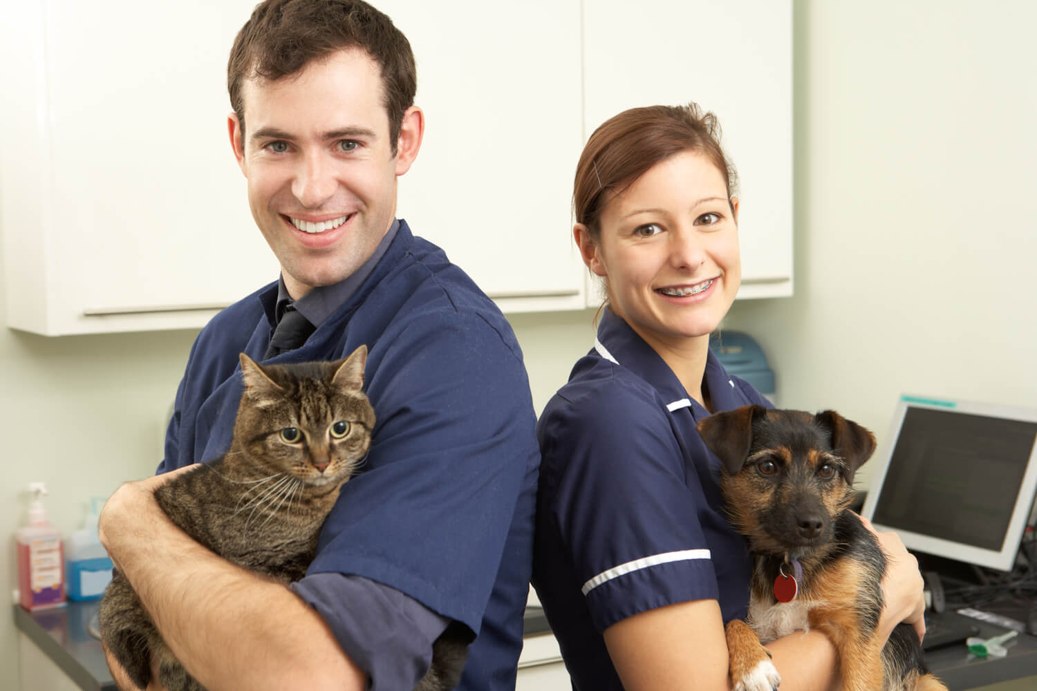 Understanding Pet Insurance Coverage for Pre-Existing Health Issues