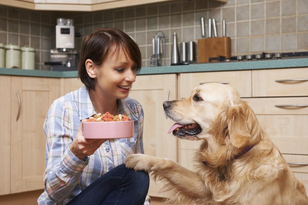 Effective Strategies for Managing Canine Food Allergies
