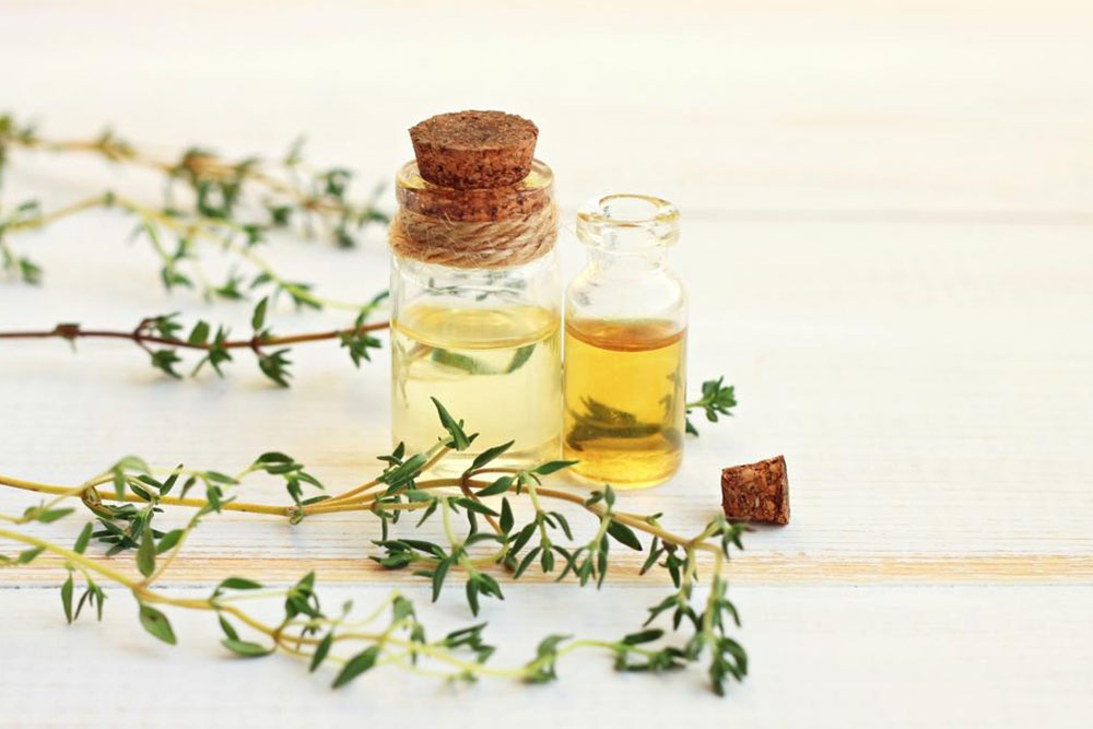Top 5 Natural Medicinal Herbs for Wellbeing