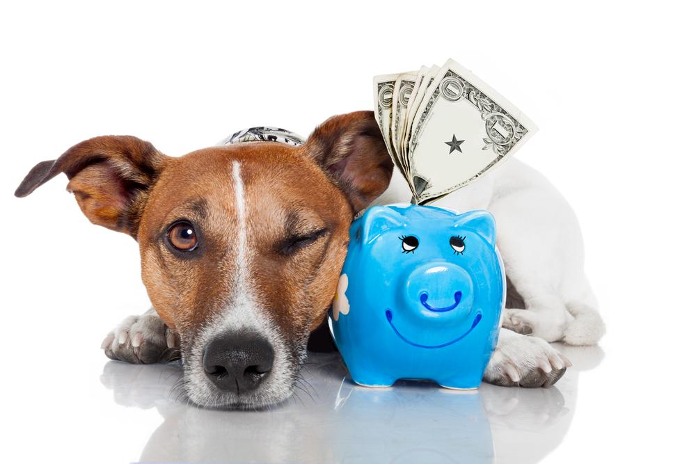 Unlocking the Key to Wealth Growth