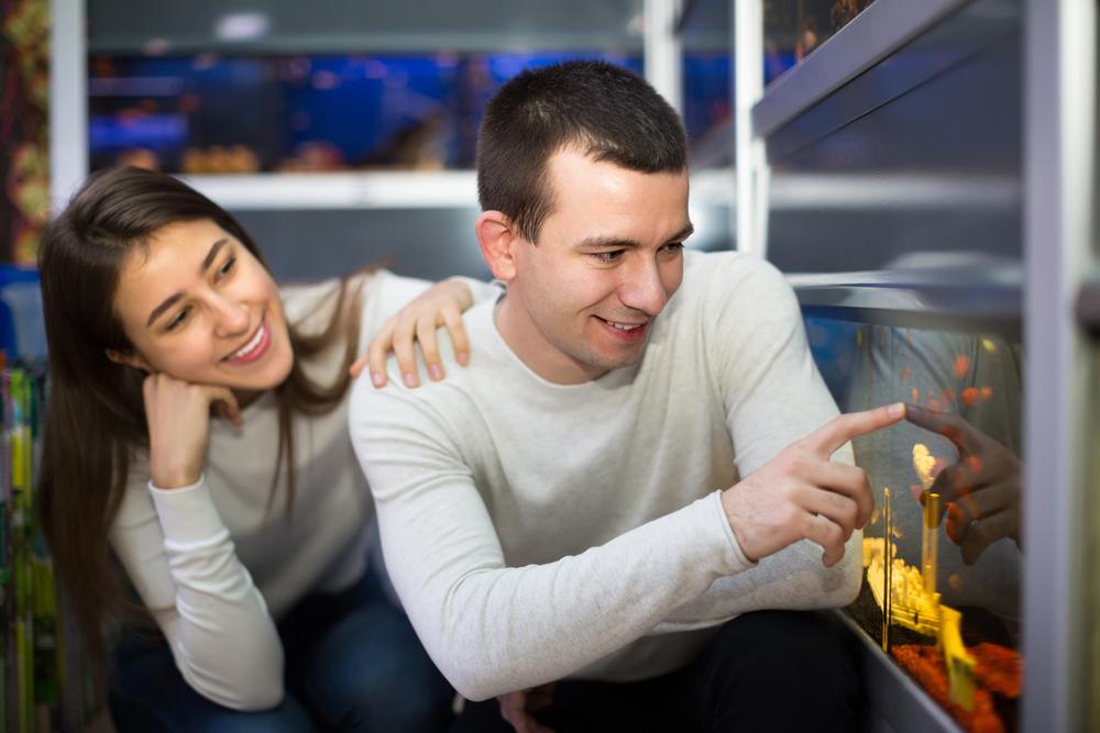 Essential Guide to Preparing Your Aquarium Before Bringing Fish Home