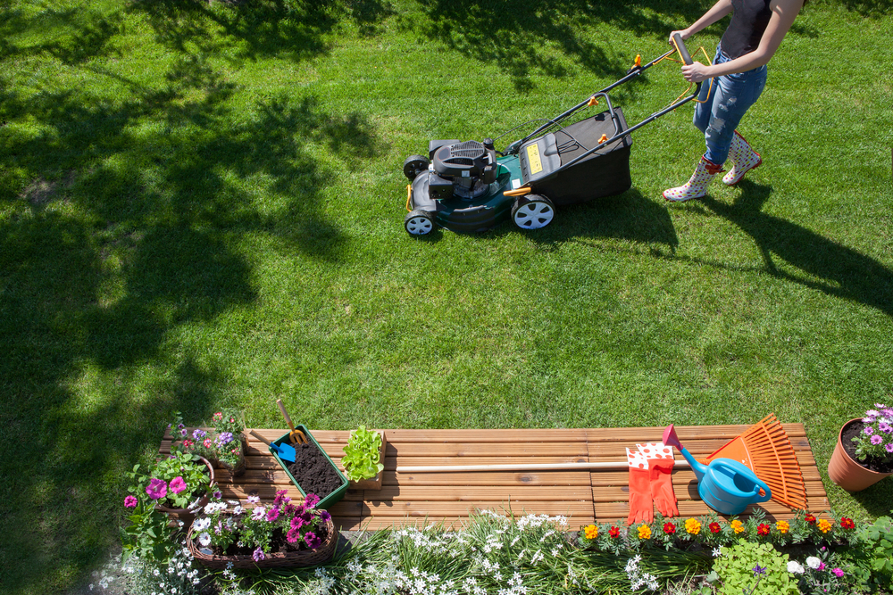 Top Lawn Mowers on Sale You Should Consider Buying