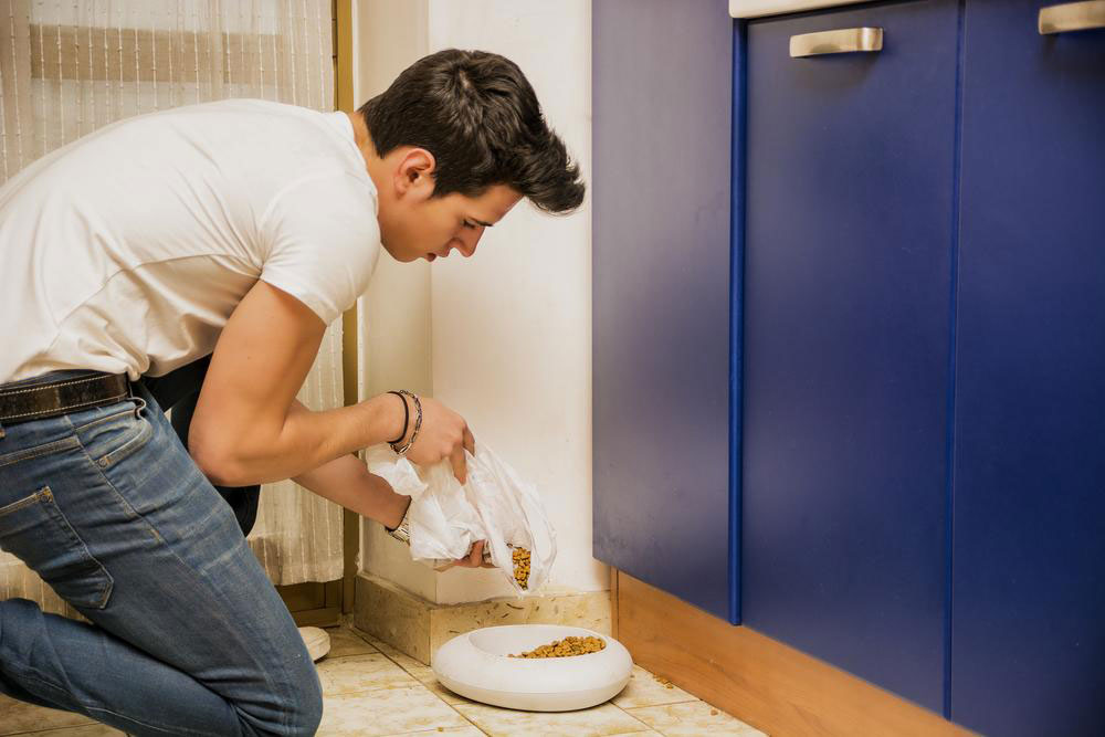 Top 6 Foods to Avoid Feeding Your Indoor Cat