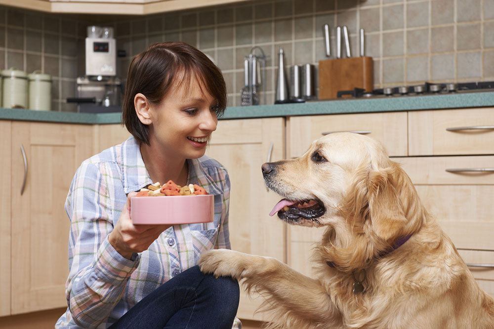 Top 7 Nutritious Dog Food Options for Your Pet's Well-Being
