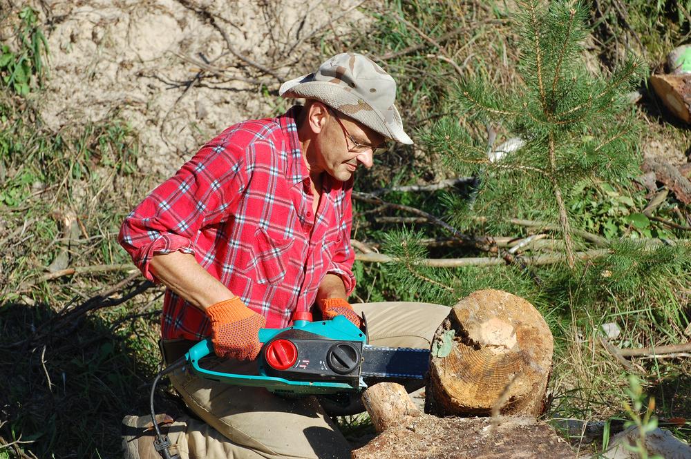 Choosing Stihl Chainsaws for Reliable Cutting Power