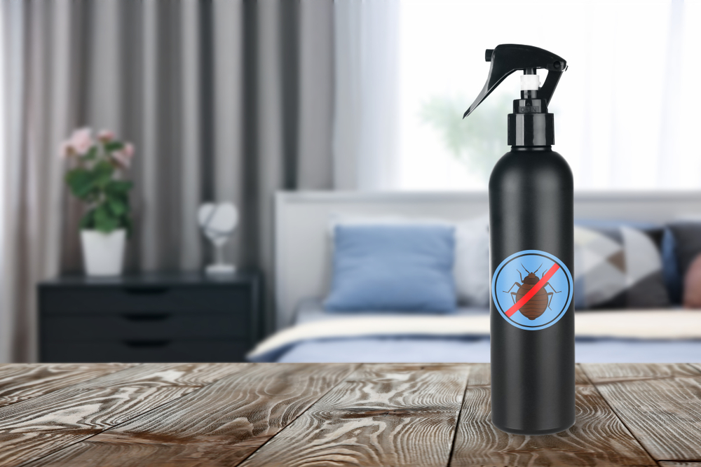 Top Bed Bug Treatment Sprays for Effective Pest Control