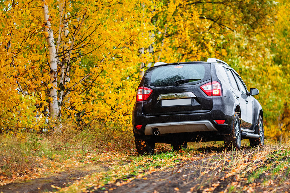 Why Spotting the 2020 Nissan Rogue is a Smart Choice