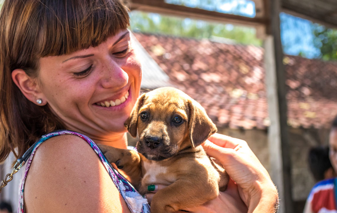 Top 10 Animal Shelters for Puppy Adoption
