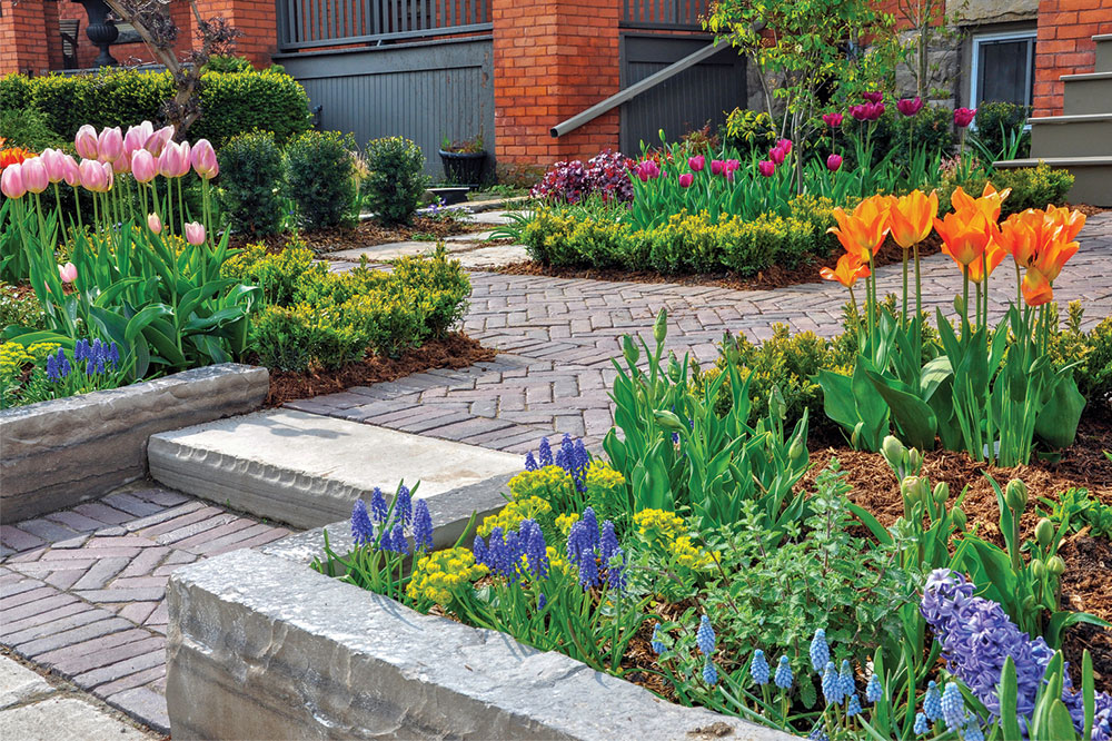 Creative Ways to Incorporate Wooden Edging in Your Garden