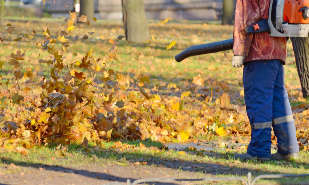 Comprehensive Guide to Selecting the Ideal Leaf Blower for Your Yard Needs
