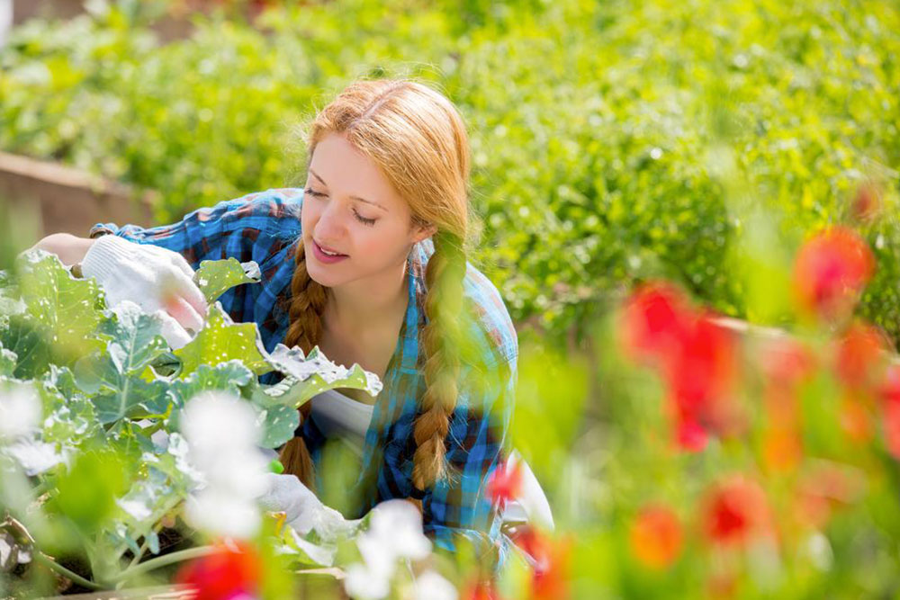 Healing Power of Green: Exploring the Benefits of Plant-Based Therapy