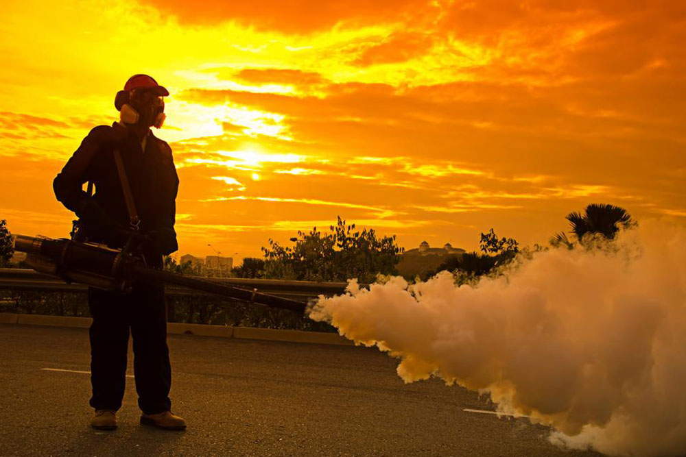 Effective Pest Management Solutions and Top Industry Leaders