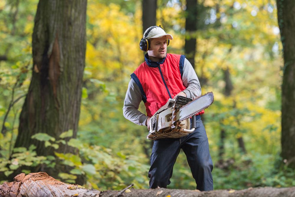 Smart Strategies for Buying Cost-Effective Chainsaws Without Compromising Quality