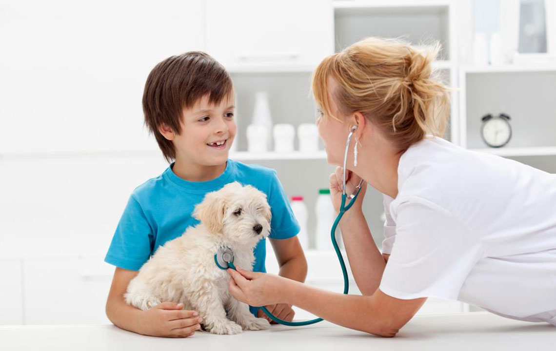 Comprehensive Guide to Factors Influencing Pet Care Expenses and How to Manage Them