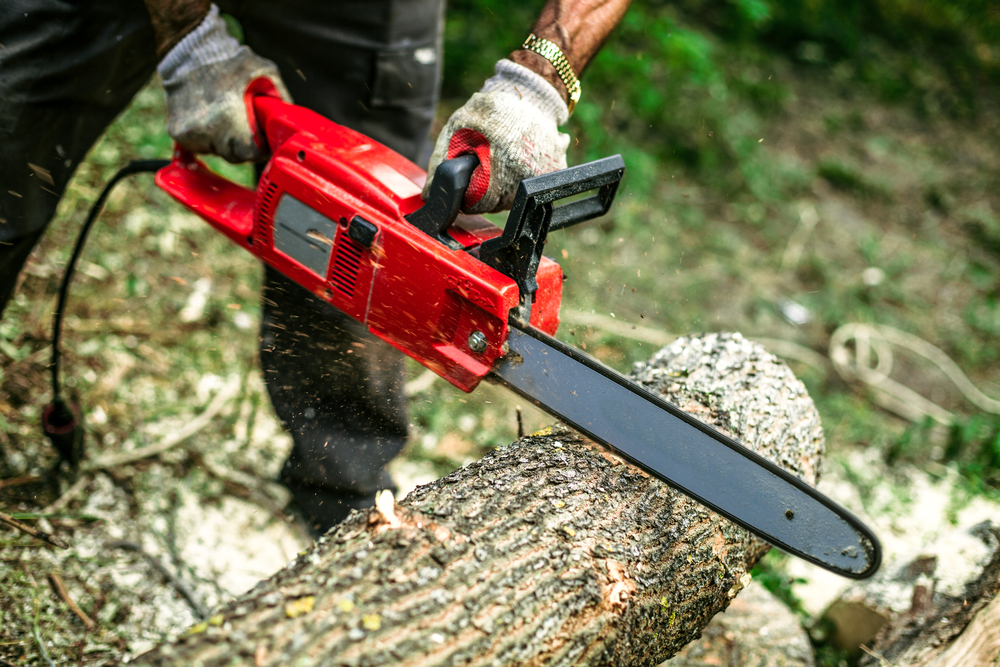 Top 5 Chainsaw Brands for Every User