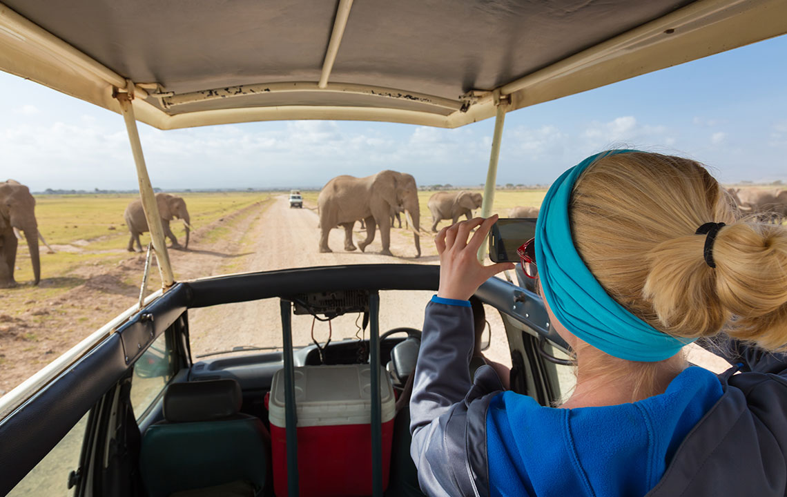 Top 3 African Safari Destinations for Unforgettable Adventure