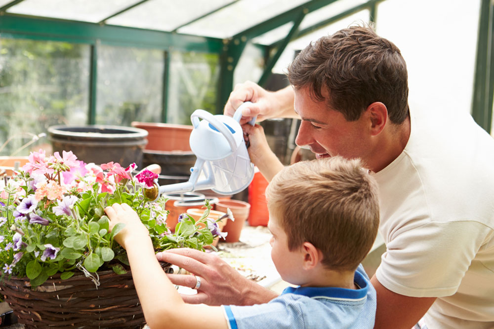 Top Plants to Cultivate in Your Greenhouse