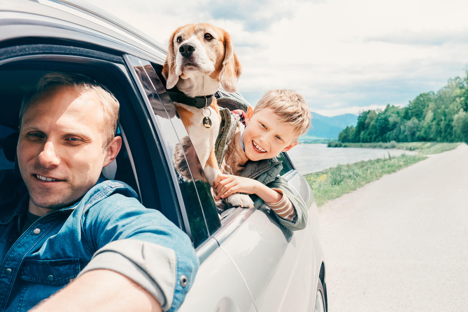 Comprehensive Pet Vet Visit Insurance Plans