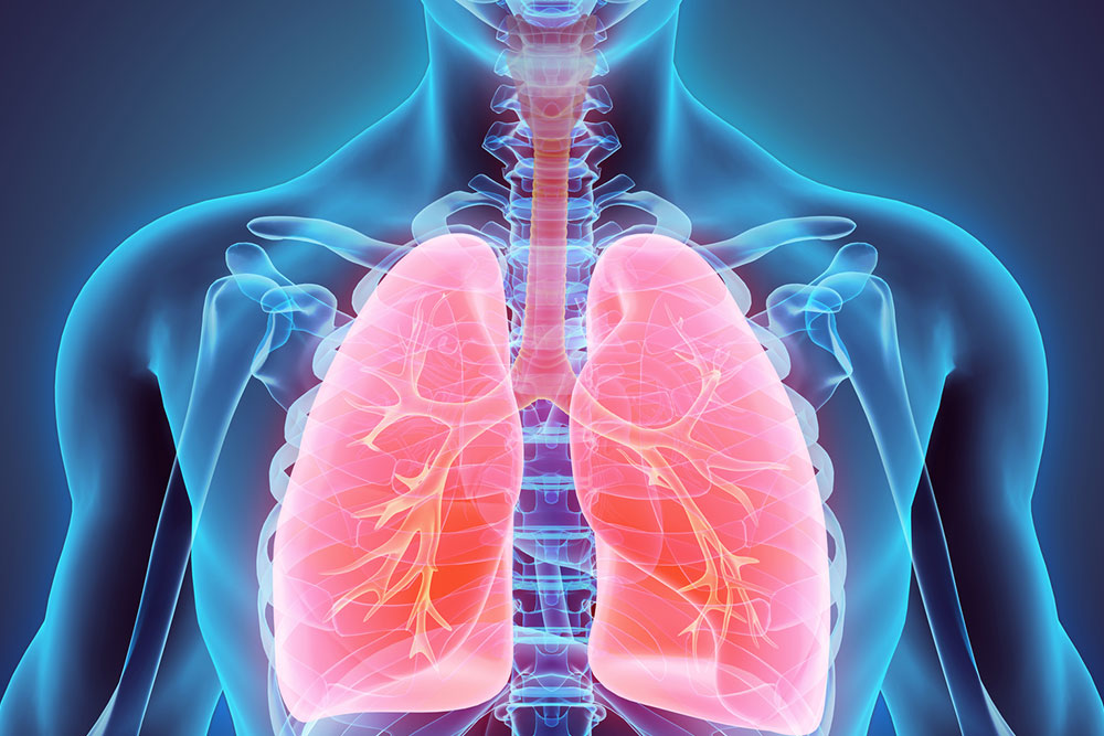 Top 5 Nutrients to Support Lung Cancer Management at Home