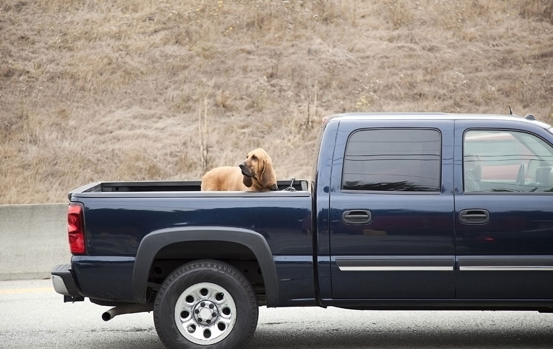 Comprehensive Guide to Different Types of Truck Bed Covers
