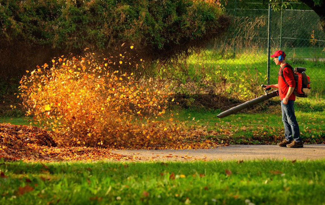 Top Budget-Friendly Leaf Blowers Under $100 for Fall Cleanup