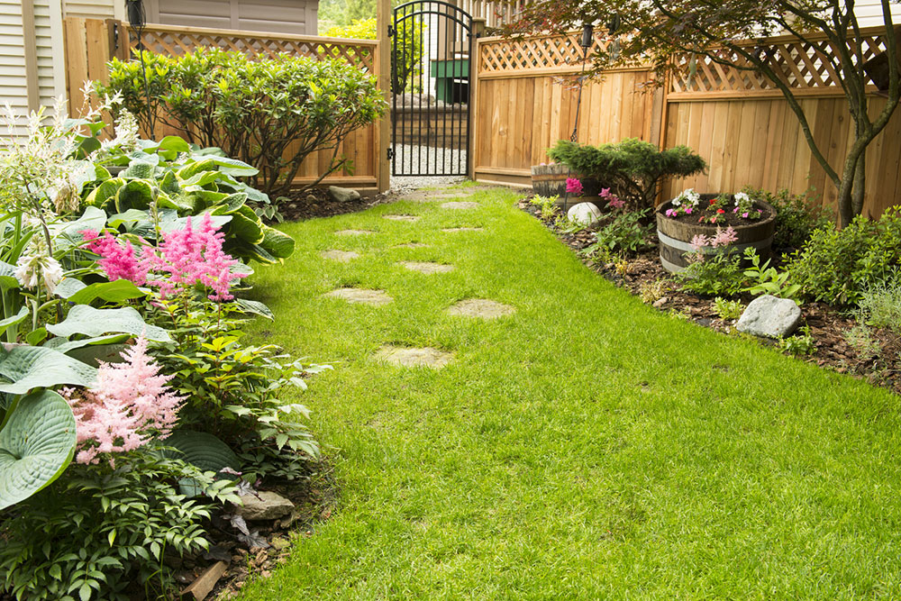 Effective Strategies to Control and Prevent Tick Problems in Your Yard