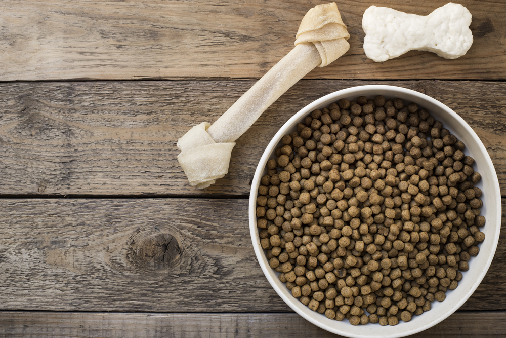 Choosing the Right Dog Food for Sensitive Stomachs