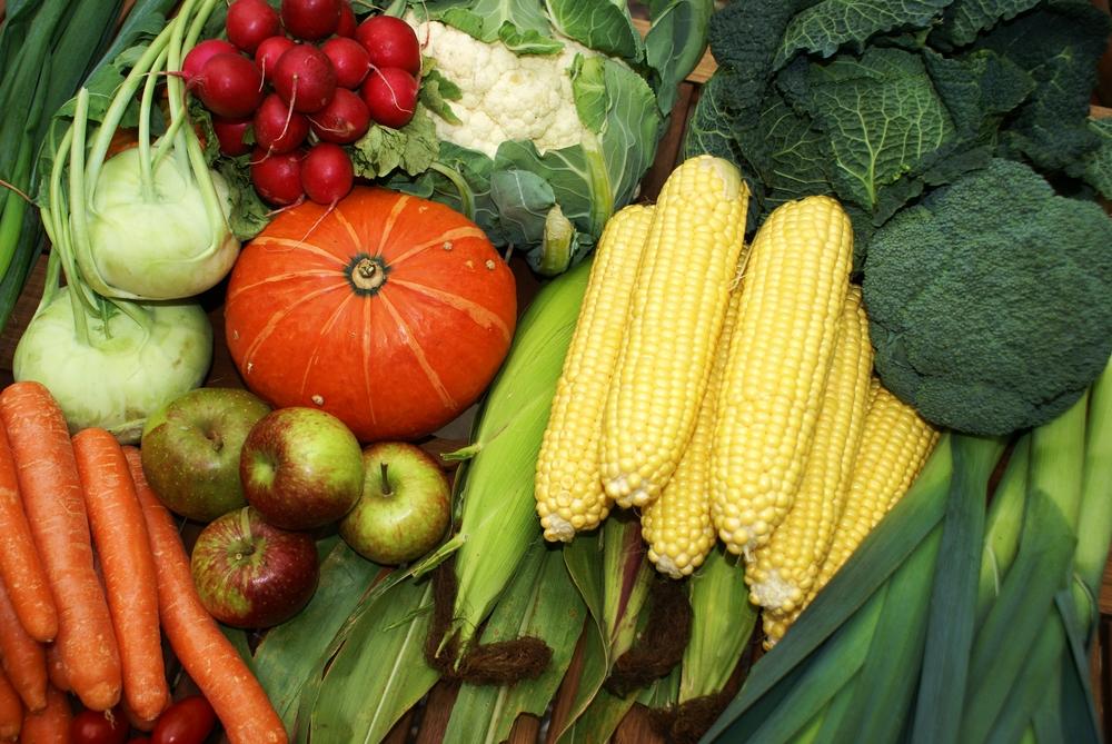 Managing Diarrhea with Proper Nutrition