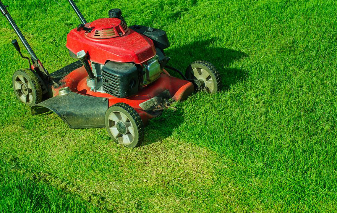 Guide to Selecting the Perfect Lawn Mower