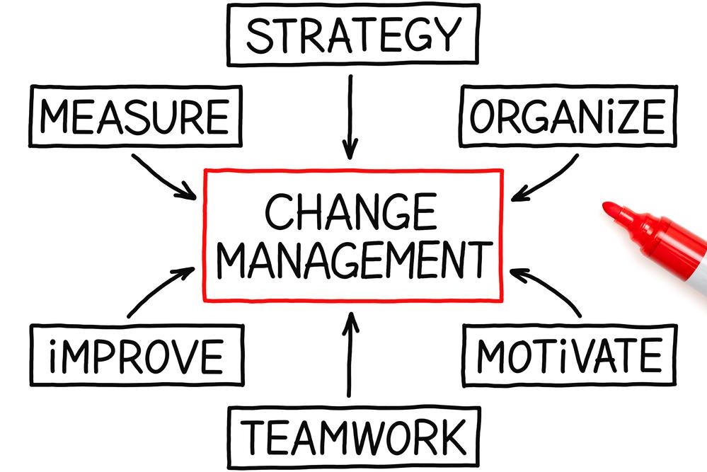 Empowering Organizations Through Transformational Leadership