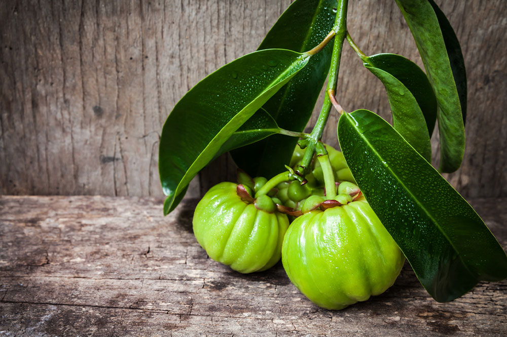 Understanding Garcinia Cambogia for Weigh Loss Support