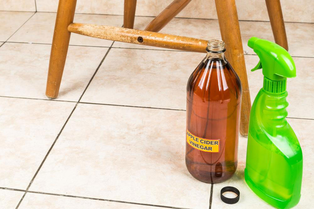 Effective Solutions for Eliminating Cat Urine Odor