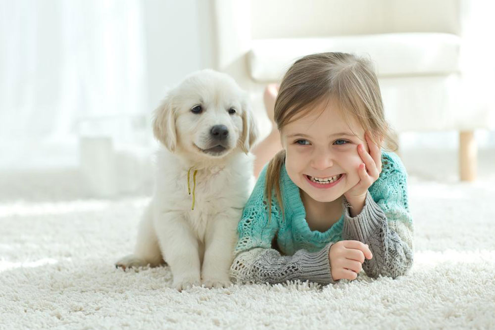 Top Pet-Friendly Rugs to Keep Your Home Stylish and Clean