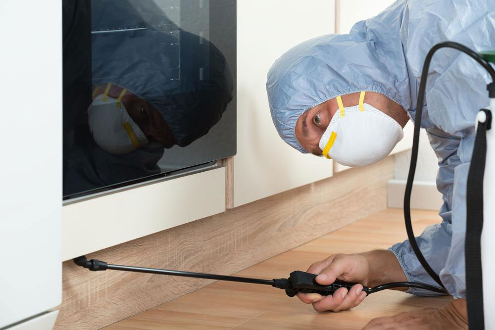 How to Choose Effective Cockroach Sprays for Your Home