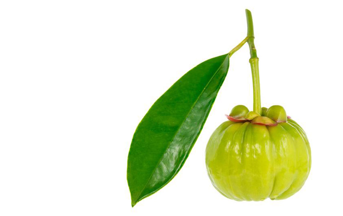 Exploring Garcinia Cambogia: A Natural Fruit for Health and Wellness