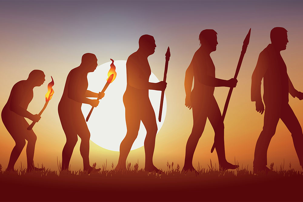 The Development of Society and Its Main Features