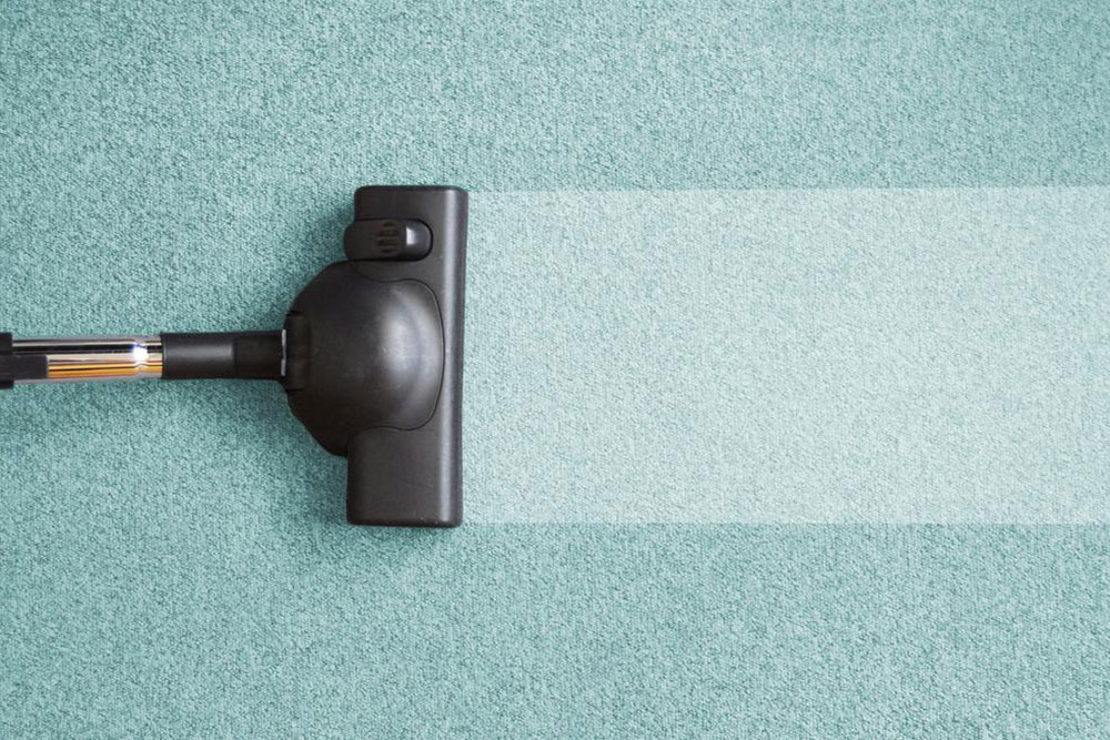 Complete Guide to Professional Carpet Cleaning Solutions
