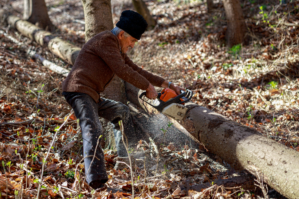 Ultimate Guide to Selecting the Ideal Chainsaw for Your Needs