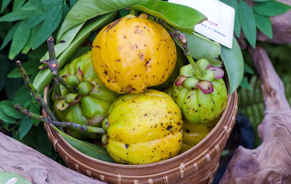Understanding The Risks of Garcinia Cambogia: Key Side Effects